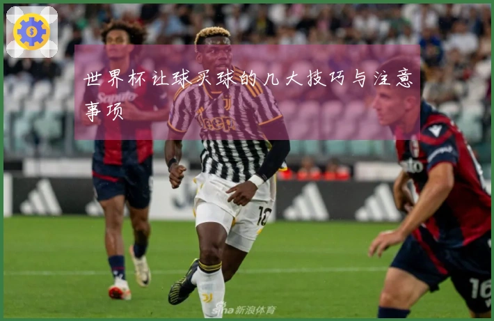 世界杯让球买球的几大技巧与注意事项
