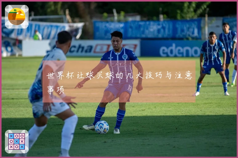 世界杯让球买球的几大技巧与注意事项