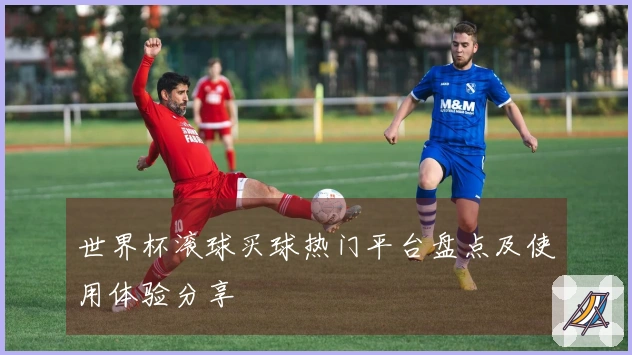 世界杯滚球买球热门平台盘点及使用体验分享